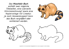 Mini-Buch-Waschbär.pdf